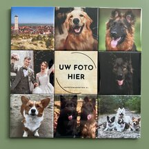 Set van 9 verschillende fotomagneten