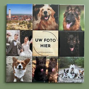 Set van 9 verschillende fotomagneten