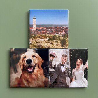 Set van 3 verschillende fotomagneten