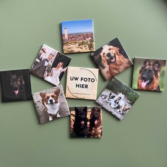 Set van 9 verschillende fotomagneten