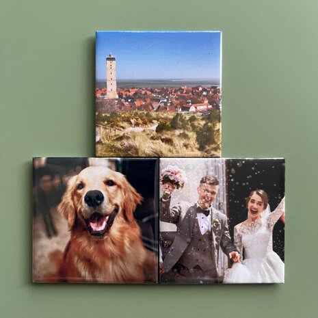 Set van 3 verschillende fotomagneten