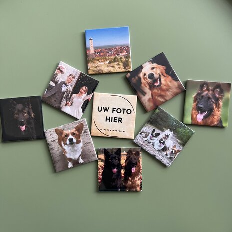 Set van 9 verschillende fotomagneten
